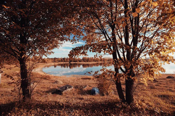 Осенний пейзаж озера Лес — стоковое фото