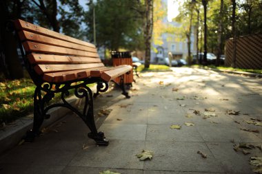 Park peyzaj sonbahar yolu