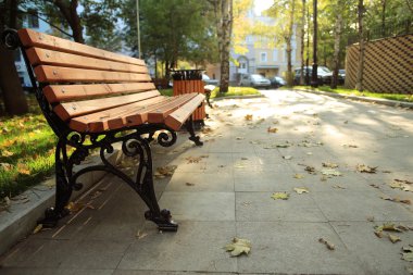 Sonbahar parkında bankta