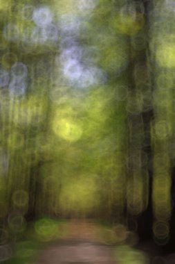 arka plan bulanık bokeh doğa