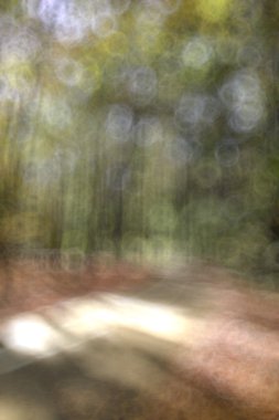 odaklanmamış doğa arka plan bokeh