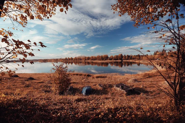 Lake Forest sonbahar manzara doğa — Stok fotoğraf