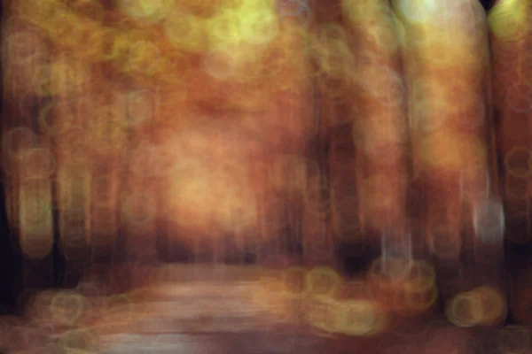 Autumn Park unfocused background — Stock Photo, Image