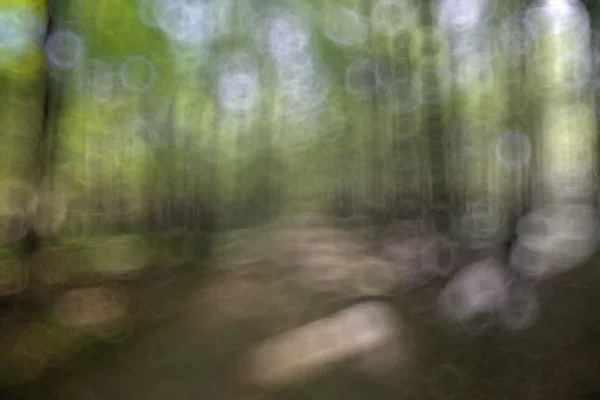 Unfocused nature background bokeh — Stock Photo, Image