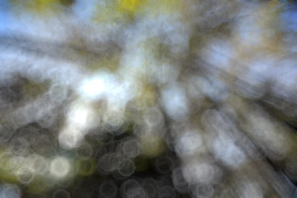 Natura sfocata sfondo bokeh — Foto Stock