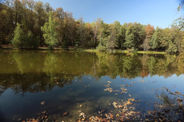 Lake Forest podzimní krajina příroda — Stock fotografie