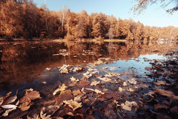 Concept autumn in city — Stock Photo, Image