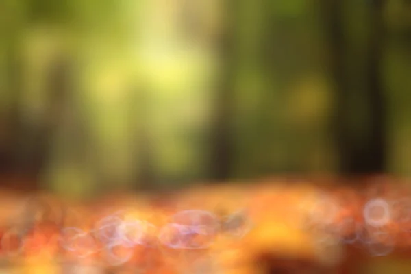 Unfocused nature background bokeh — Stock Photo, Image