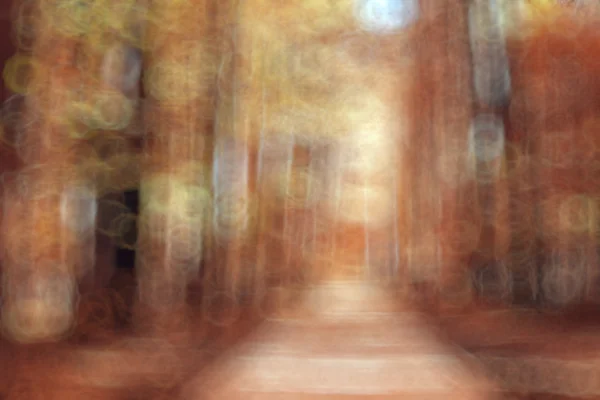 Autumn Park unfocused background — Stock Photo, Image