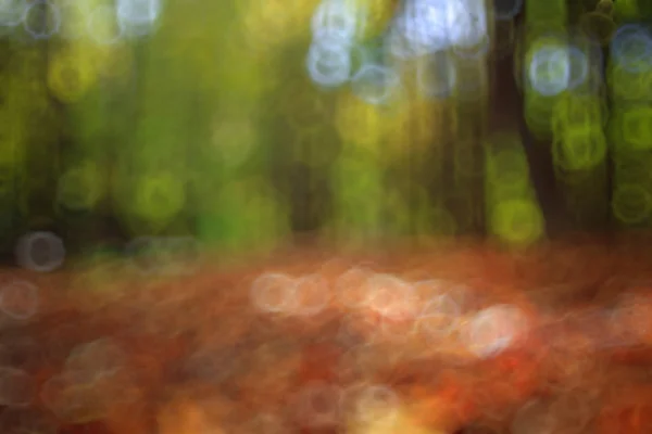 Unfocused background Autumn Park — Stock Photo, Image