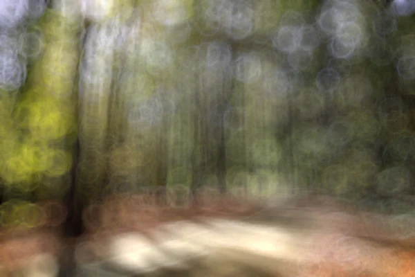 Unfocused nature background bokeh — Stock Photo, Image