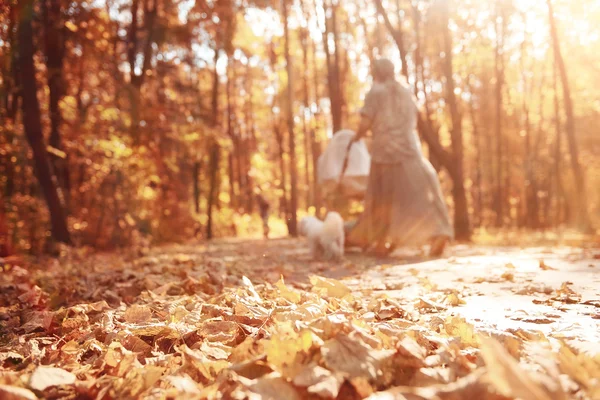 Paisaje sendero de otoño en el parque — Foto de Stock