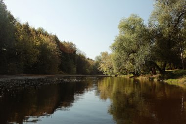 Parkta yaz manzarası