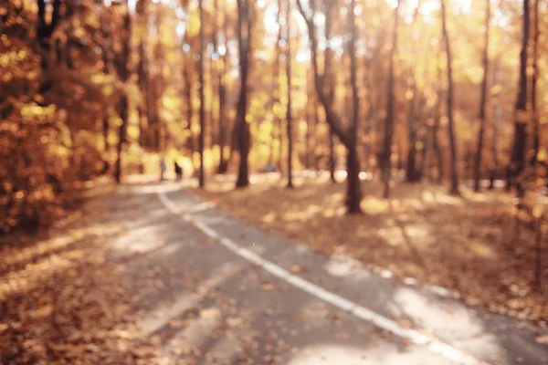 Háttérben a napsütéses őszi park — Stock Fotó