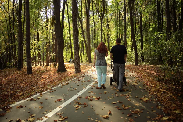 Sommarlandskap i parken — Stockfoto