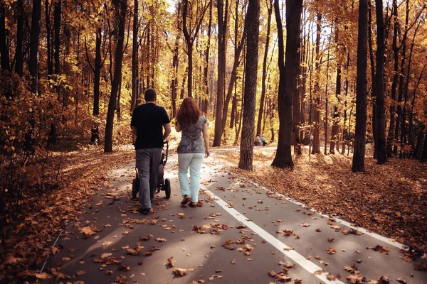 Paisagem outono caminho no parque — Fotografia de Stock