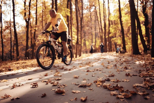 Autumn in Bike Park — Stock Photo, Image