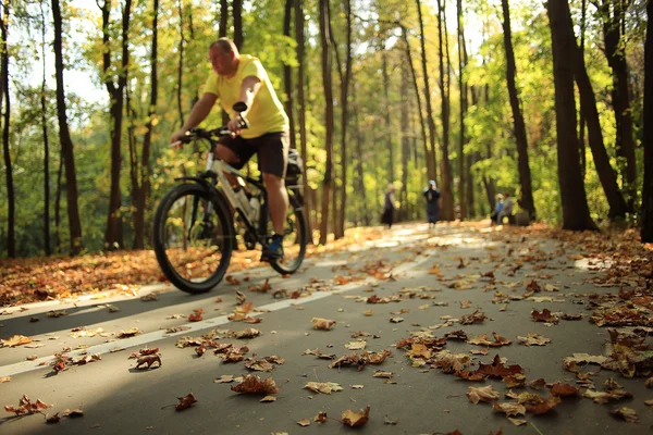 Paysage routier d'automne dans le parc — Photo