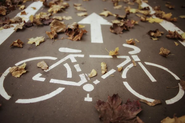 Parque de bicicletas de otoño con hojas secas — Foto de Stock