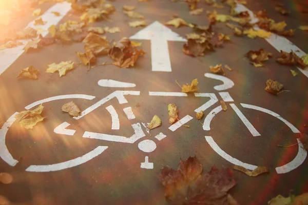 Landscape autumn path in the park — Stock Photo, Image