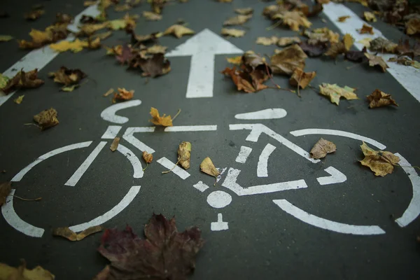 Parque de bicicletas de otoño con hojas secas — Foto de Stock