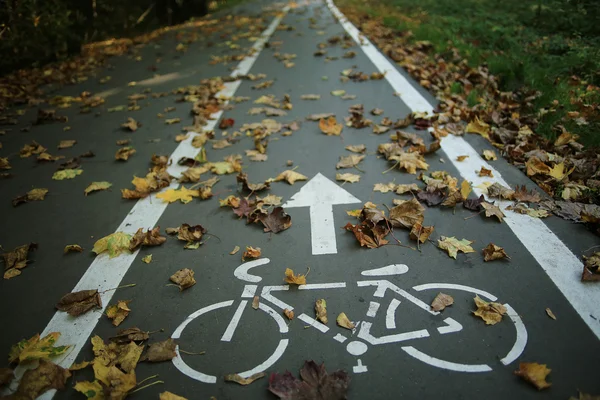 Herbst-Bikepark mit trockenen Blättern — Stockfoto