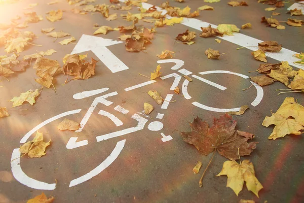 秋天的自行车公园 — 图库照片