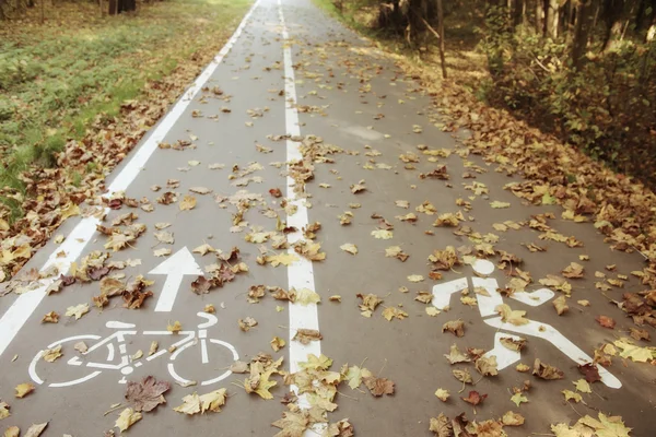 Autumn Bike Park — Stock Photo, Image