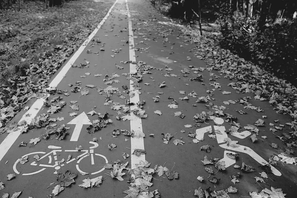 Autumn road landscape in park — Stock Photo, Image