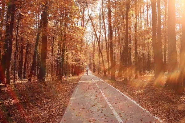 Paisagem outono caminho no parque — Fotografia de Stock