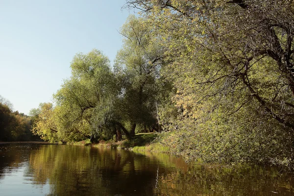 Zomers landschap in het park — Stockfoto