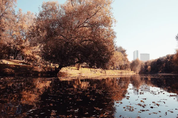 Lagoa calma outono — Fotografia de Stock