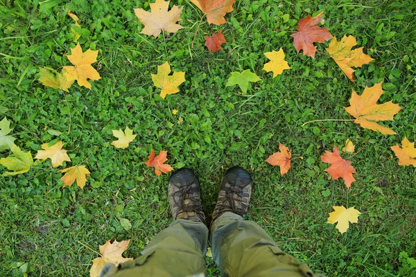 Φόντο Φθινοπωρινά φύλλα στο πάρκο — Φωτογραφία Αρχείου