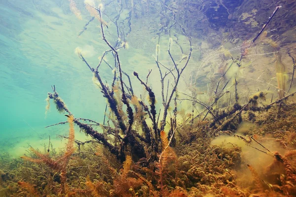 Underwater in a mountain river — Stock Photo, Image