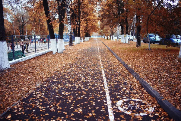 Podzimní krajina cesta v parku — Stock fotografie