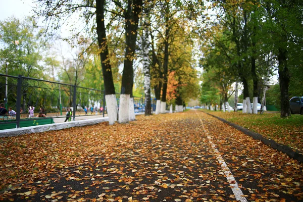 Fondo hojas de otoño en el parque — Foto de Stock