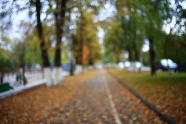 Achtergrond herfstbladeren in het park — Stockfoto