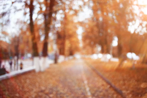 在阳光明媚的秋日公园风景背景 — 图库照片
