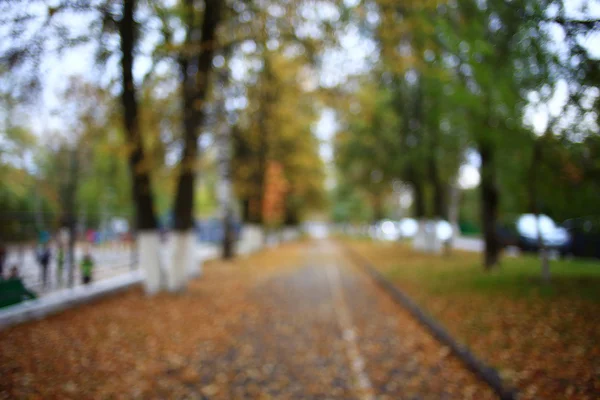 Herbstlandschaft in der Natur — Stockfoto