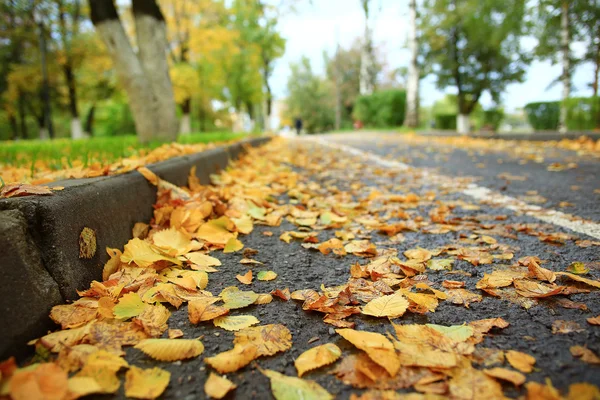 Landscape autumn path in the park — Stock Photo, Image