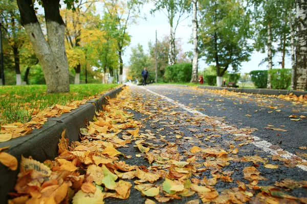 Ландшафтная осенняя тропа в парке — стоковое фото