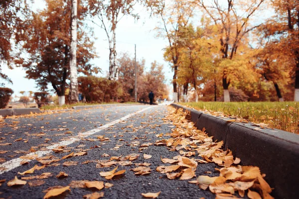 Táj őszi kerti ösvény-ban a park — Stock Fotó