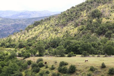 dağ manzarası ile dağ çalkantılı nehir