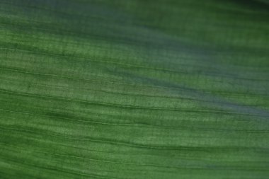 arka plan bulanık doku