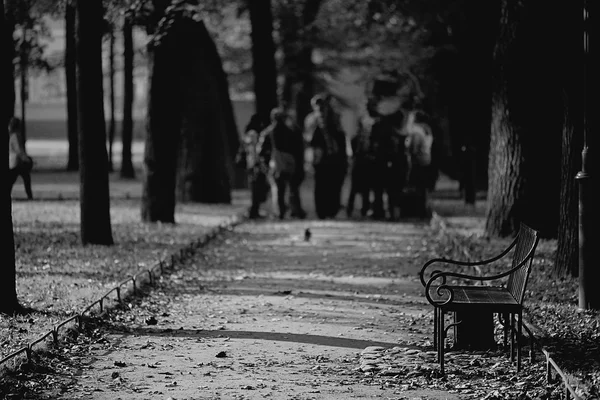 Bench in the autumn park — Stock Photo, Image