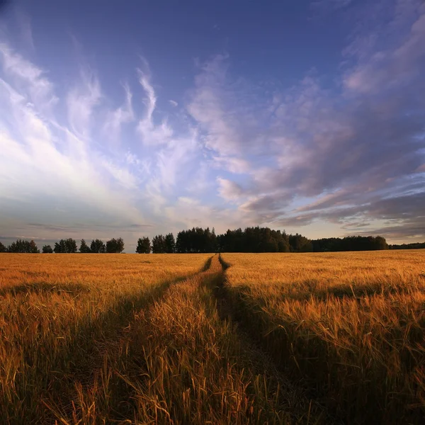 Paisagem curva incomum ao pôr do sol — Fotografia de Stock