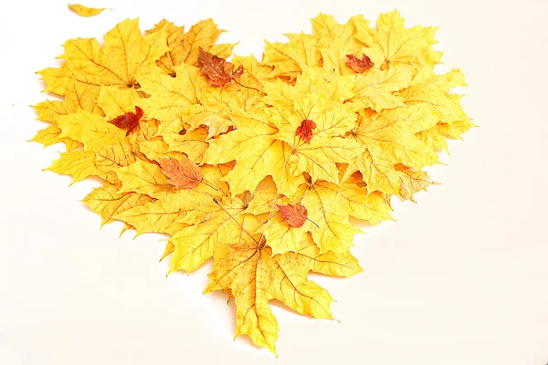 Coração de folhas de outono — Fotografia de Stock