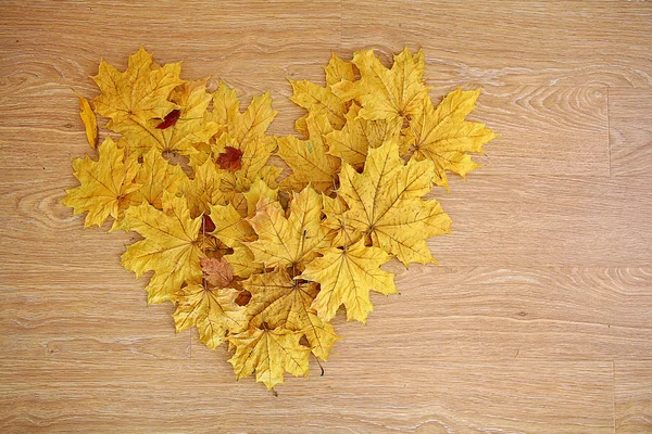 Coeur de feuilles d'automne — Photo