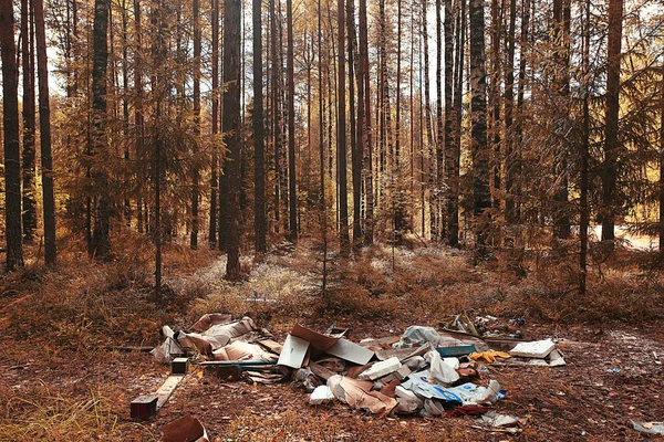 Basurero en el bosque — Foto de Stock