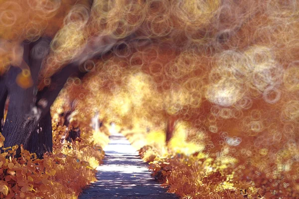 Blurred orange autumn background — Stock Photo, Image